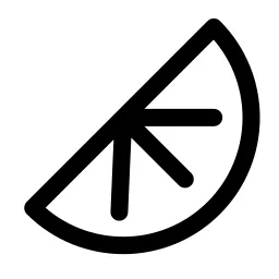 Orange Slice Icon
