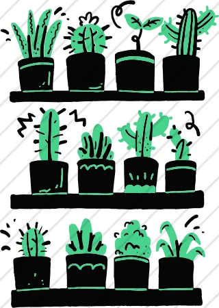 Plants On Shelf