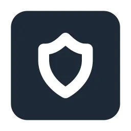 Shield Box Solid Icon