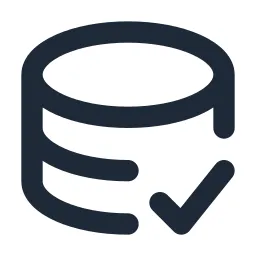 Data Check Line Icon