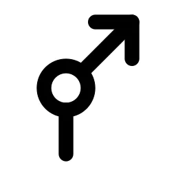 Arrow Rotary Last Right Line Icon