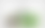 Bloomwell Blog 04